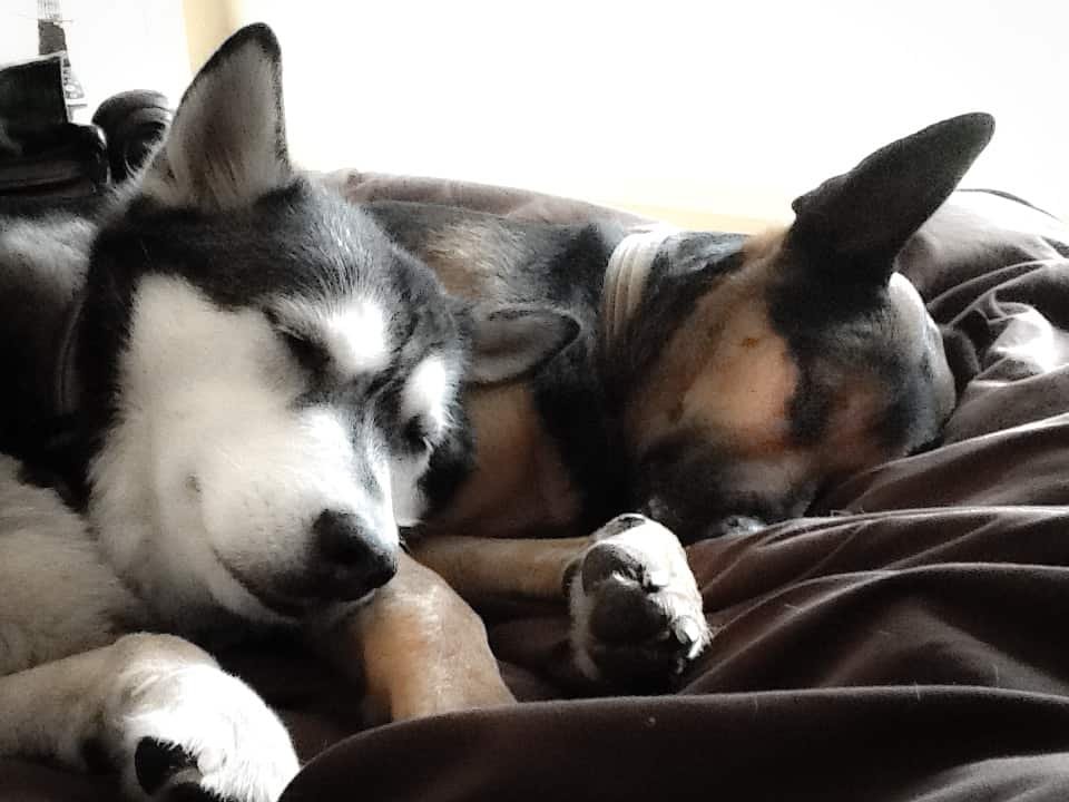 Sunday Spooning