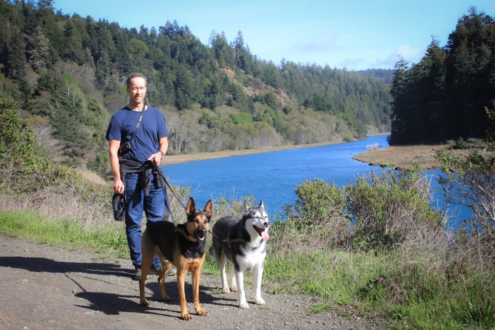 Adventures in Dogcations