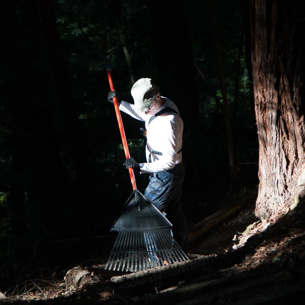NitWit Trail Gets a Shrakieotomy