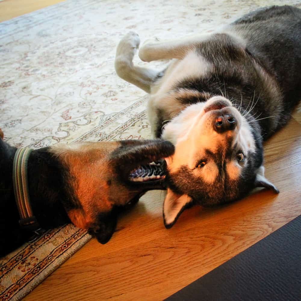 Monday Morning Love Nibbles