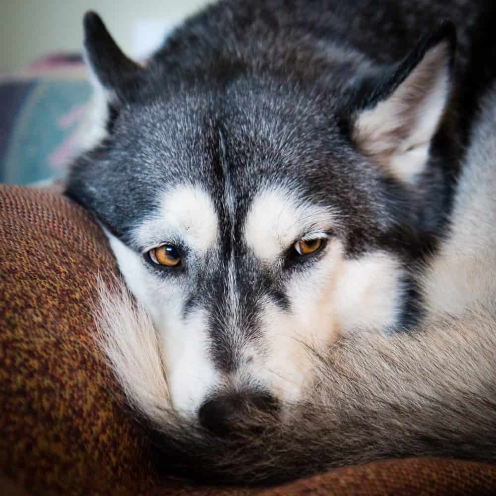 So?