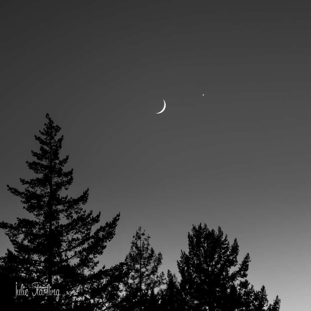 Venus