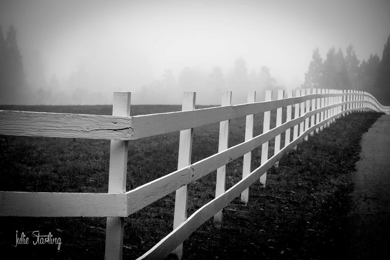 Silence