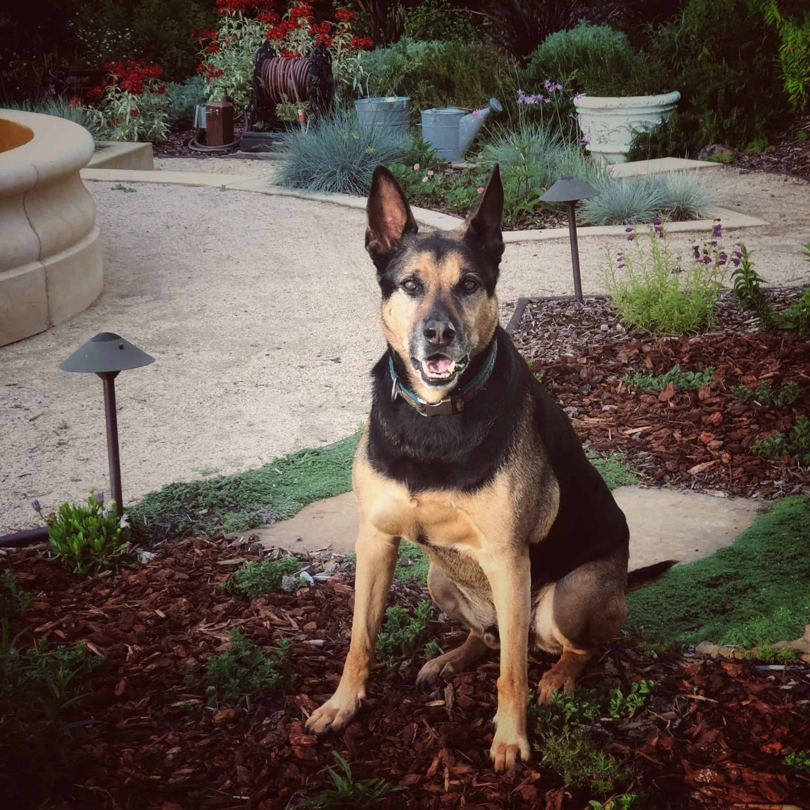 Happy Loki-versary!