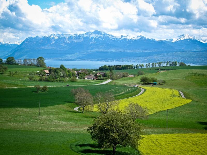 Too Much Green and Blue, Not Enough Smog