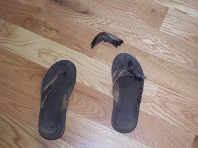 Another Shoe Fatality