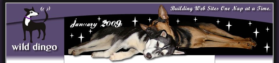 Building Web Sites One Nap at a Time
