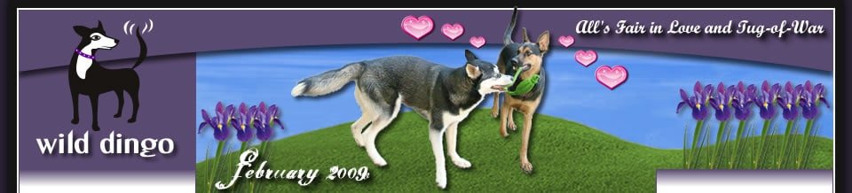 All’s Fair in Love and Tug-of-War